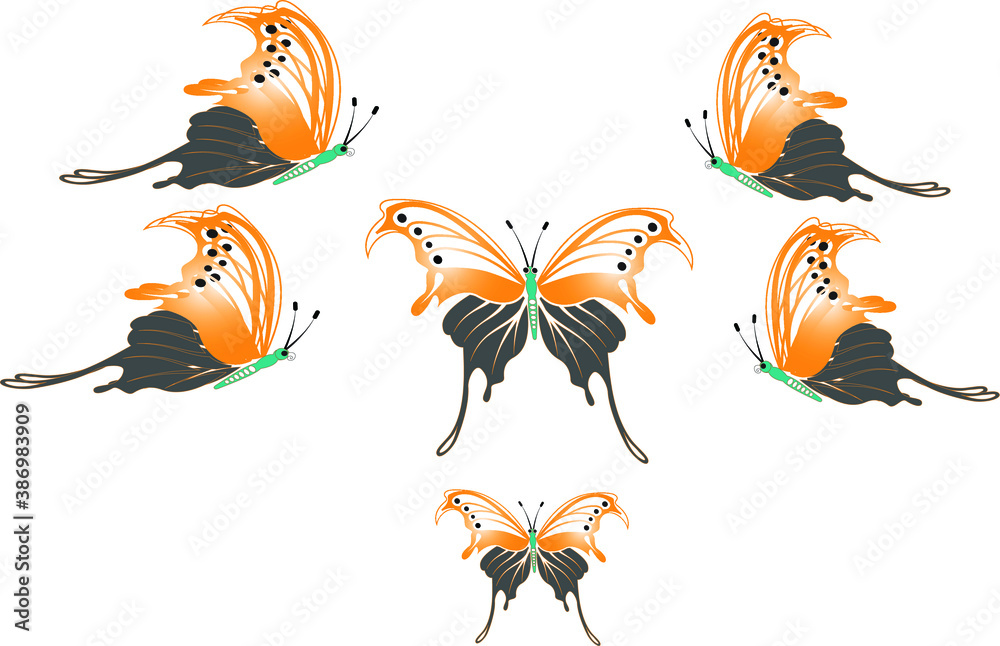 Obraz premium A butterfly isolated from a white background