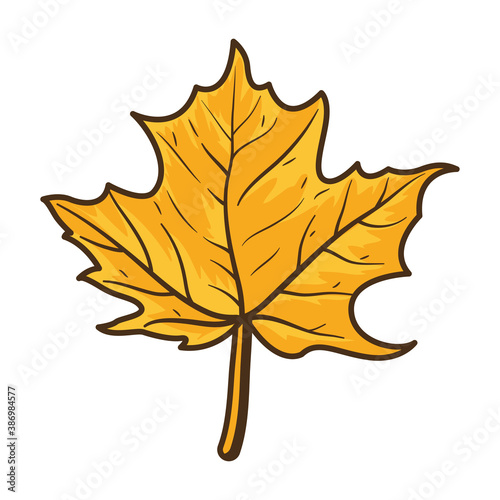 autumn maple leaf nature icon