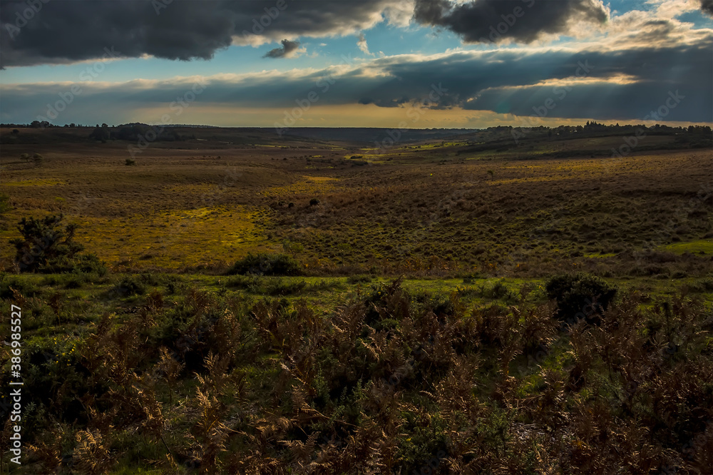 Sunlight pierces through the clouds over the  heathland in the New Forest near Fordingbridge, UK in Autumn