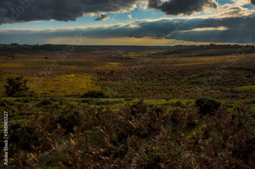 Sunlight pierces through the clouds over the heathland in the New Forest near Fordingbridge, UK in Autumn
