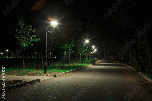 Lanterns in the park along the alley at night or at night