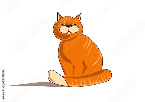 Fat red cat