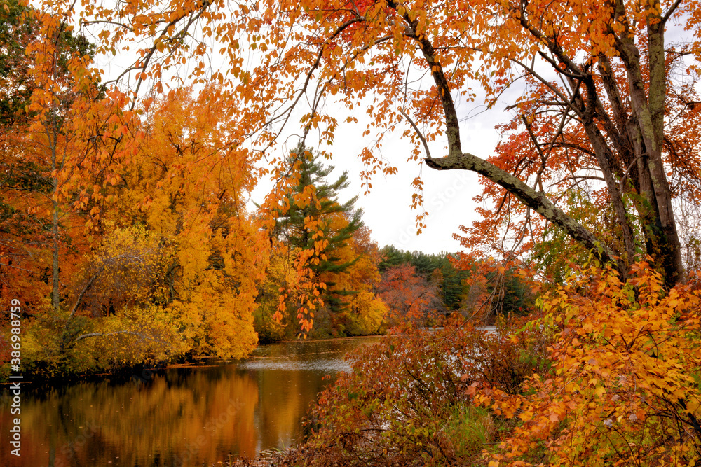 Fall in New England. Brilliant autumn leaves and colorful reflections on calm surface of Harbor Pond in Townsend, Massachusetts.