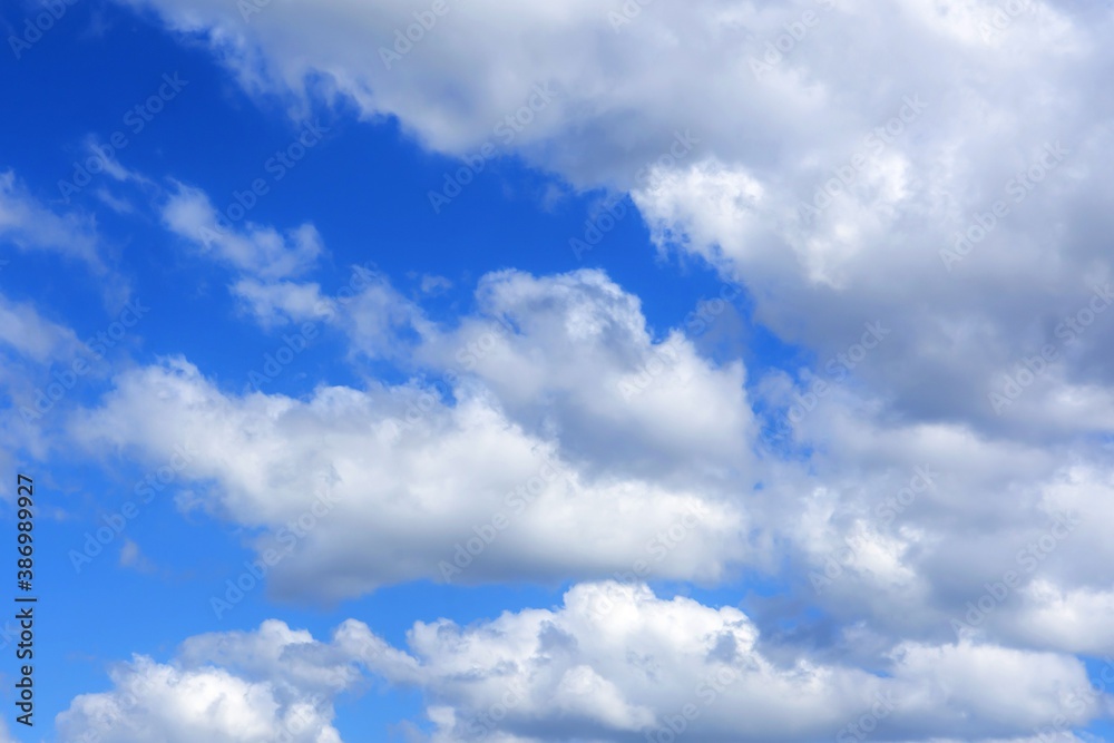 Fototapeta premium white cumulus clouds against a bright blue sky