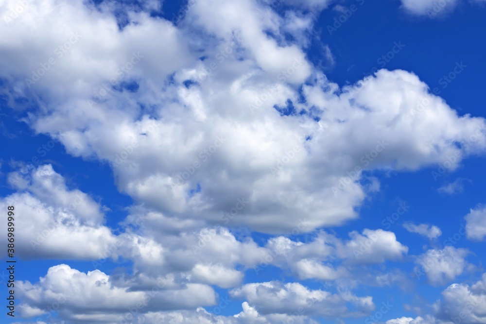 Fototapeta premium white cumulus clouds against a bright blue sky