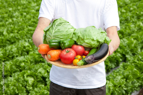 野菜