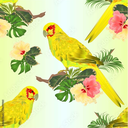 Seamless texture bird Parrot in Yellow Indian Ringneck  on branch with tropical flowers hibiscus  palm philodendron watercolor on a white background vintage vector illustration editable Hand draw