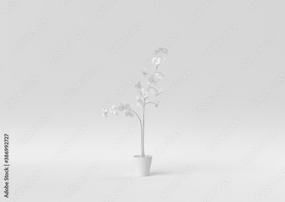 Obraz premium Creative minimal paper idea. Concept white flower with white background. 3d render, 3d illustration.