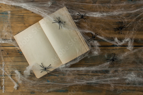 open old book and spiderweb over wood wall. Close up view of cute Halloween decorations. Top view