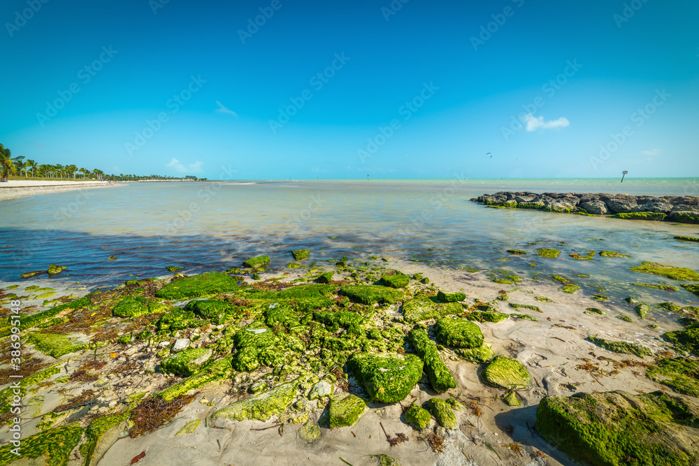 Rocks in Smathers Beach shore in Key West