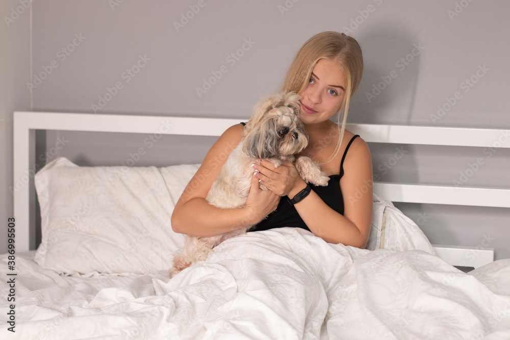 beautiful blonde with a puppy shih-tzu on bed with white sheets. pretty people and pets on isolation. beautiful blonde with a puppy shih-tzu on bed with white sheets. pretty people and pets on isolation.