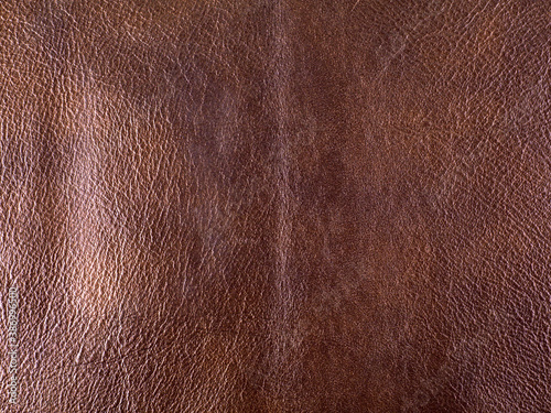 Brown cattle leather texture background