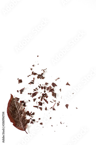 Brown autumn leaf presented in the shape of tree, from which the leaves fall on white isolated background. Minimalism autumn style concept.Autumn greetings card.