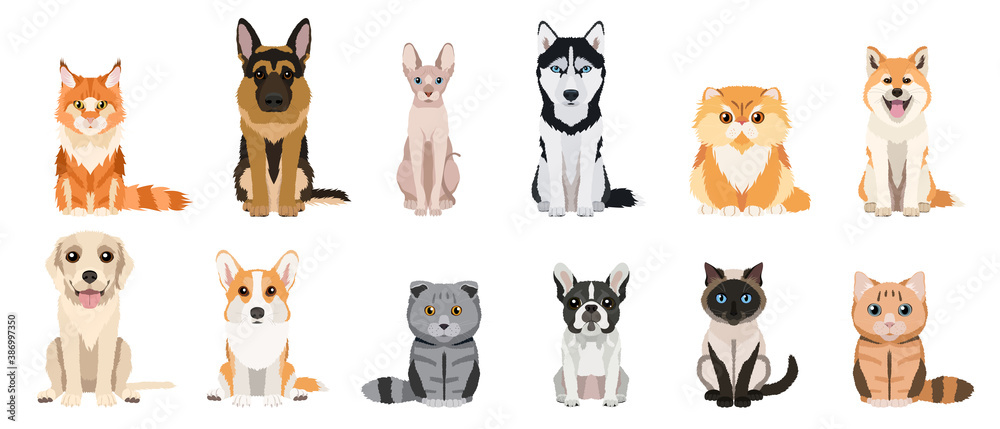 Cartoon cats and dogs breeds set. Collection of vector illustrations isolated on white background. Flat design