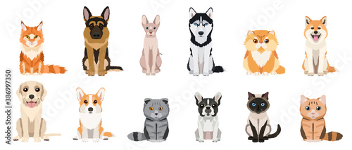 Cartoon cats and dogs breeds set. Collection of vector illustrations isolated on white background. Flat design