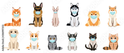 Fototapeta Naklejka Na Ścianę i Meble -  Cartoon cats and dogs breeds set. Cats and dogs wearing protective face masks. Collection of vector illustrations isolated on white background. Flat design