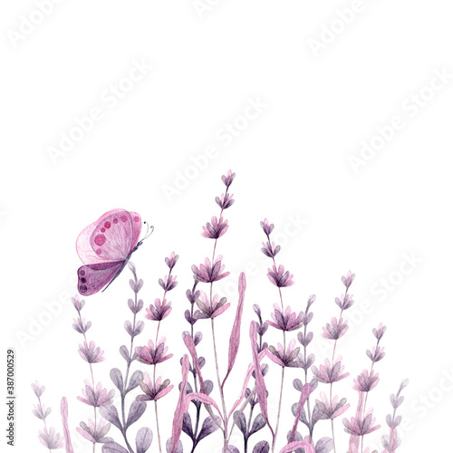 Watercolor illustration background of lavender flower fielsd. photo