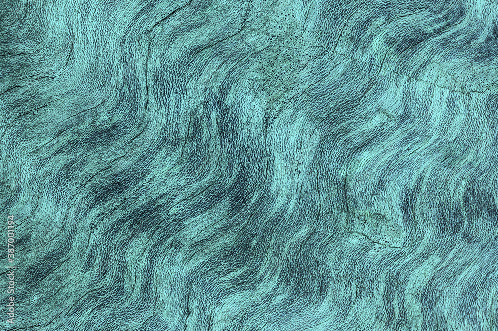 Fototapeta premium Factural texture. Copy Space