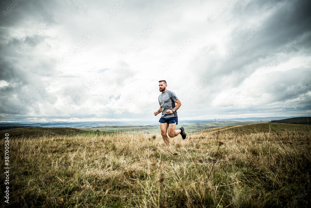 handsome trail runner running in nature handsome trail runner running in nature