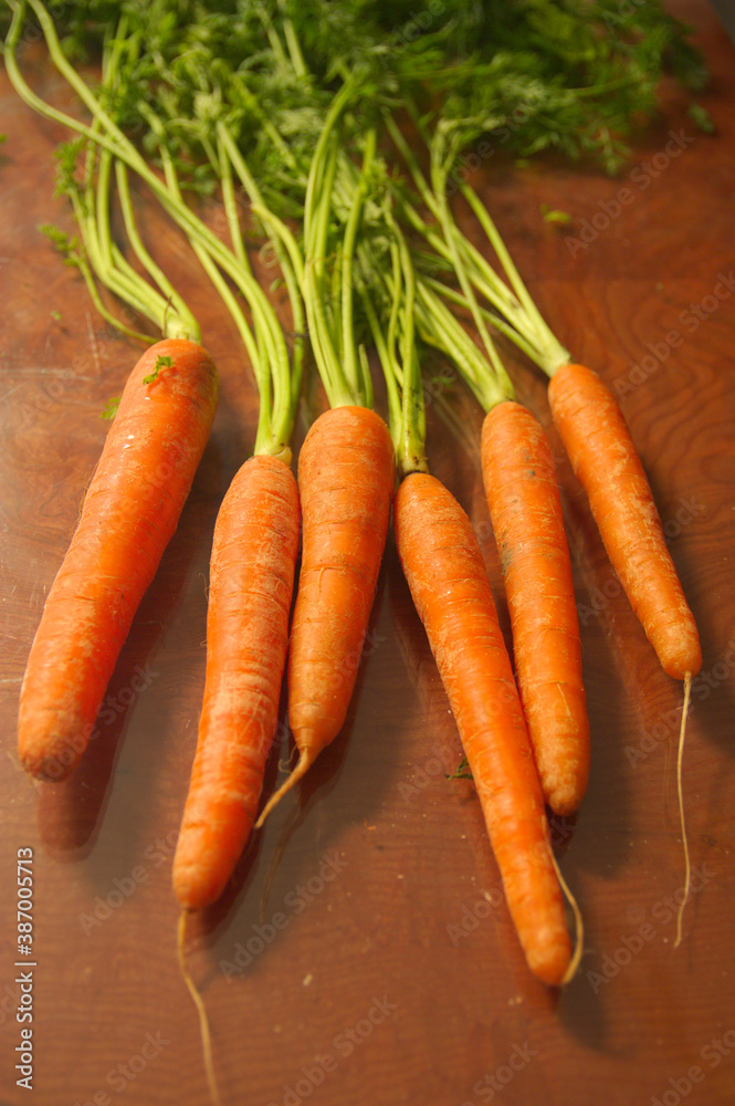 Bouquet of carrots spread out on a table vertically Bouquet of carrots spread out on a table vertically