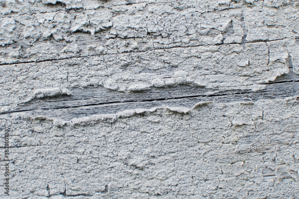 Texture of an old wooden board with a staple. texture background Texture of an old wooden board with a staple. texture background