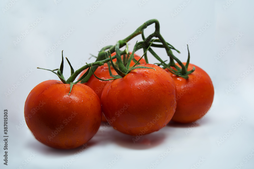 Tomatoes. Tomato branch. Tomatoes isolated on white. With clipping path. Full depth of field. Tomatoes. Tomato branch. Tomatoes isolated on white. With clipping path. Full depth of field.
