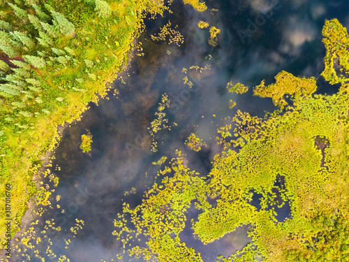 Aerial view of colorful pond in the marshlands during a fall season day. Taken in Yukon, Canada.