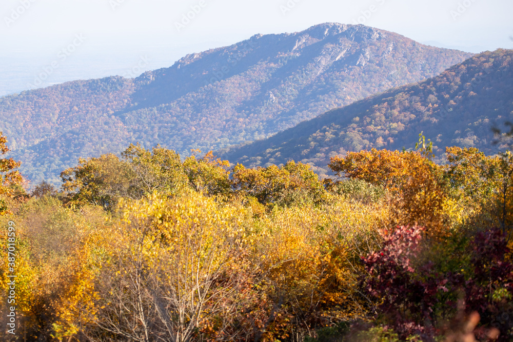 view of blue ridge mountains in autumn along skyline drive in virginia shenandoah national park usa