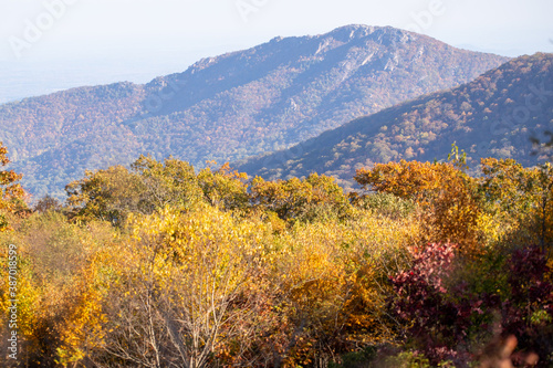 view of blue ridge mountains in autumn along skyline drive in virginia shenandoah national park usa