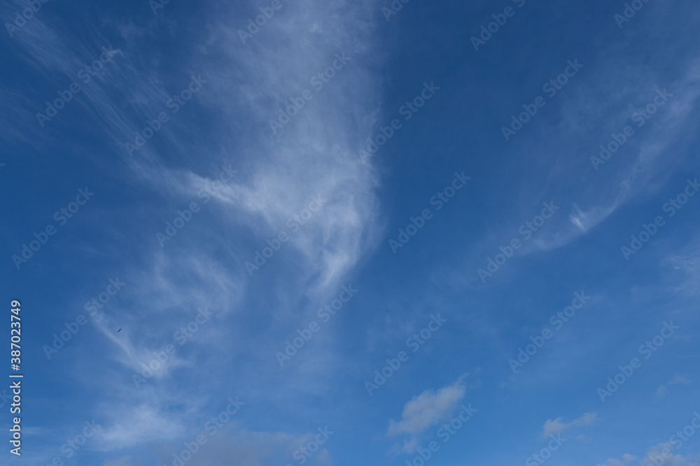 Beautiful atmospheric dramatic clouds in the evening at sunset. Beautiful atmospheric dramatic clouds in the evening at sunset.
