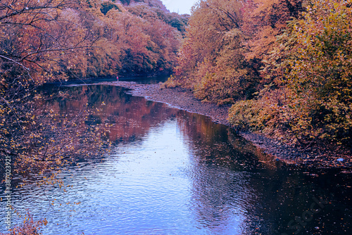 Fishing Peacfully photo