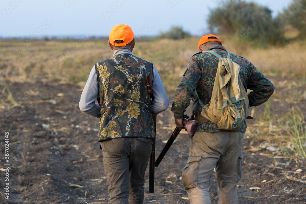 Pheasant hunters with shotgun walking through a meadow. Pheasant hunters with shotgun walking through a meadow.