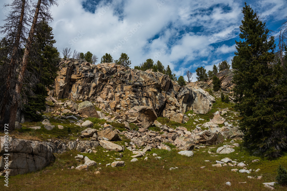 Rocks in the mountain meadow