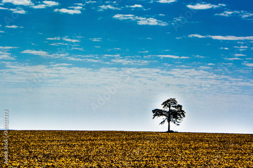 solidão photo