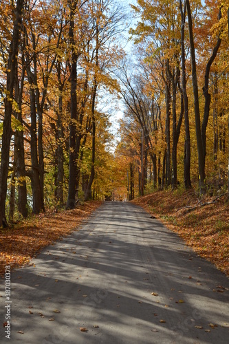 country dirt road in the fall