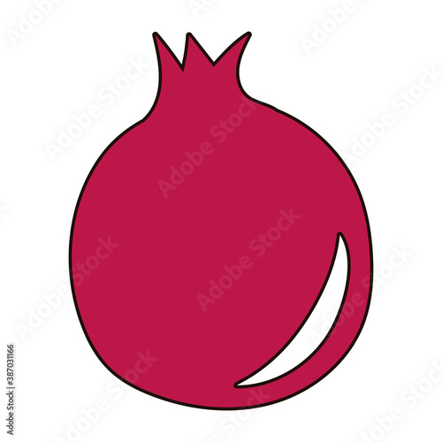 pomegranate fruit fresh nature icon