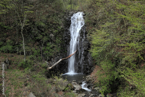 金洞の滝