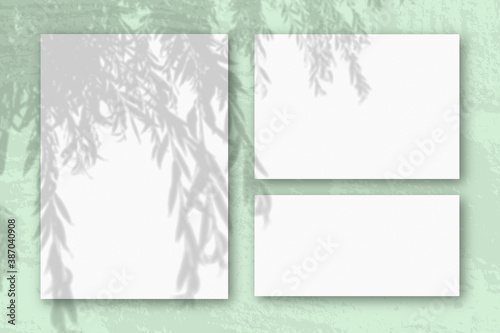 Several horizontal and vertical sheets of white textured paper against a green wall background. Mockup with an overlay of plant shadows. Natural light casts shadows from an willow branch