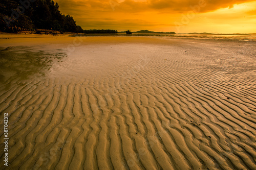 Natural background of morning light against trees or coastal mangrove forest  cool blurred wind  beauty according to the weather conditions during the day.