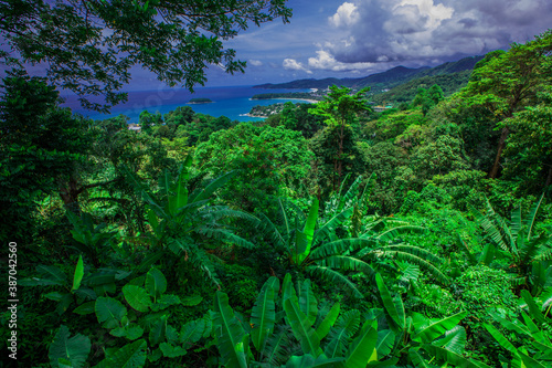 Natural high angle panoramic background With an atmosphere surrounded by mountains and trees  with a blurred wind  cool