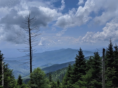 Blue, Cloudy Sky Over the Mountains. Trees in the Foreground