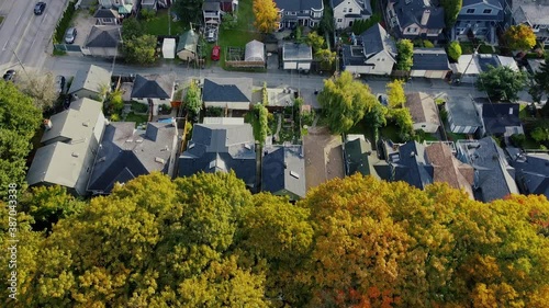 Top down view of Vancouver neighbourhood with autumn yellow trees on a sunny day