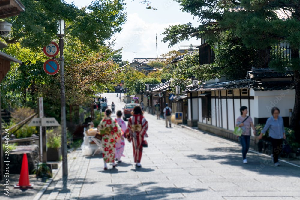 Fototapeta premium 京都 ねねの道