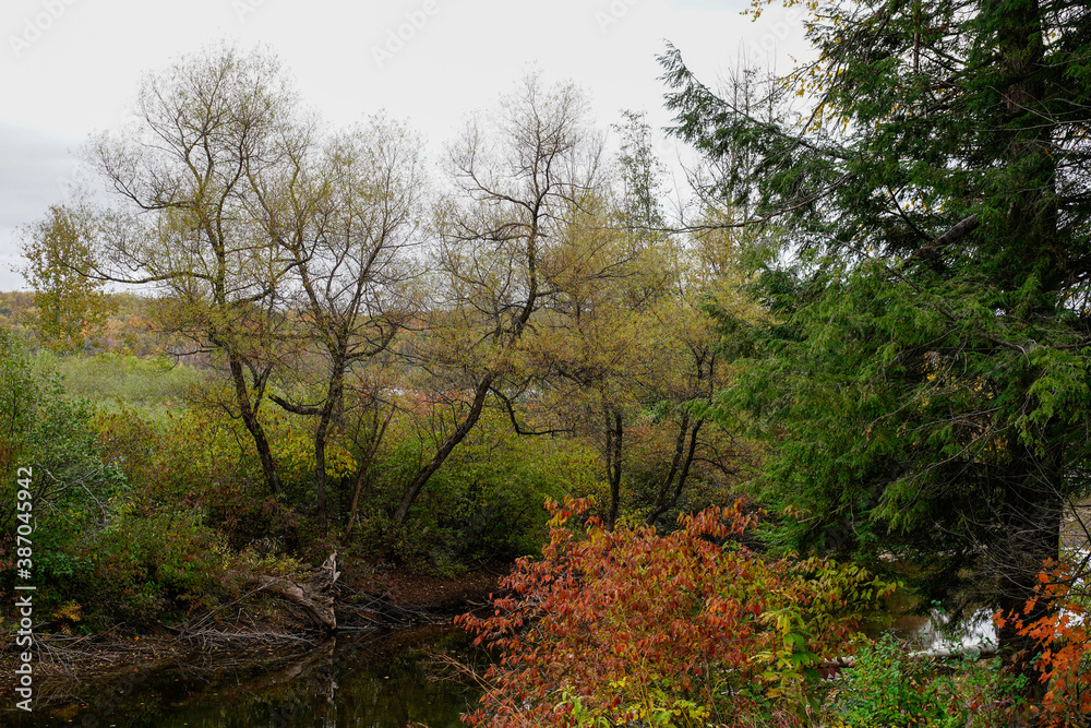Beautiful fall evening at a Pennsylvania state park. Fall foliage. Stream through the autumn trees. Beautiful fall evening at a Pennsylvania state park. Fall foliage. Stream through the autumn trees.