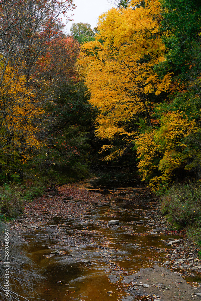Beautiful fall evening at a Pennsylvania state park. Fall foliage. Water stream with bright autumn trees hanging over the water. Beautiful fall evening at a Pennsylvania state park. Fall foliage. Water stream with bright autumn trees hanging over the water.