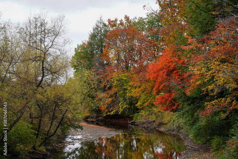 Beautiful fall evening at a Pennsylvania state park. Fall foliage. Water stream with bright autumn trees hanging over the water.