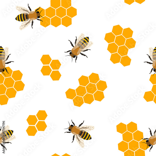 Fototapeta Naklejka Na Ścianę i Meble -  honey bee and honeycomb