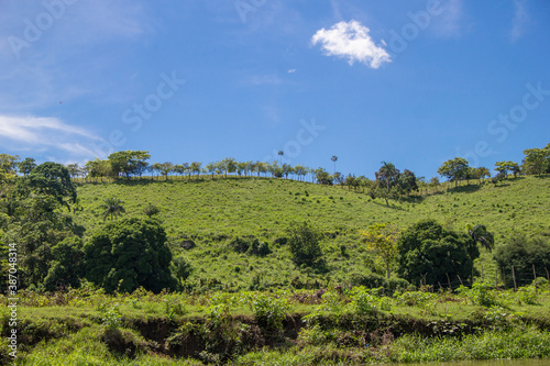 Verdes monta  as con altos arboles  cielo azul  paisaje natural  vida de campo  vida en la naturaleza