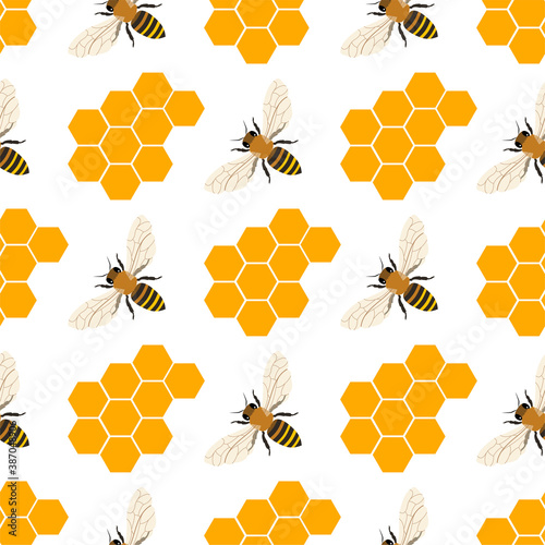 honey bee and honeycomb