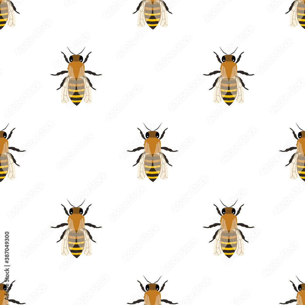 Vector seamless pattern with honey bee. 